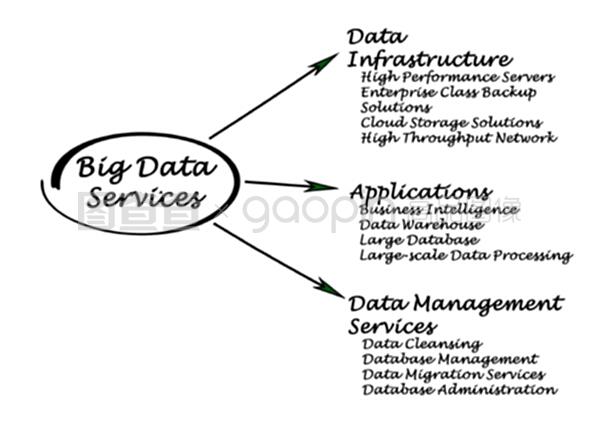 大数据服务 驱动数字时代的核心引擎